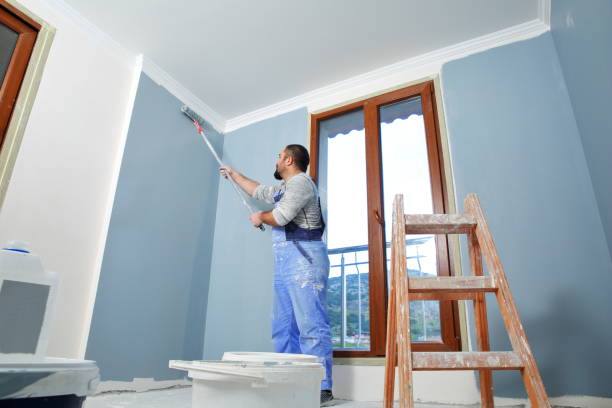 Best Mold Removal for HVAC Installations  in Hendron, KY